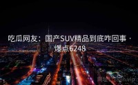 吃瓜网友：国产SUV精品到底咋回事 · 爆点6248