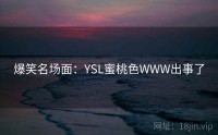 爆笑名场面：YSL蜜桃色WWW出事了
