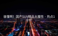 谁懂啊！国产SUV精品太魔性 · 热点1977